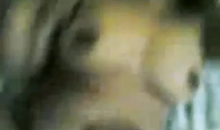 तीन समलैंगिकों सेक्सी मूवी फुल हड हिंदी मे ने एक-दूसरे के मुंह में प्रहार किया