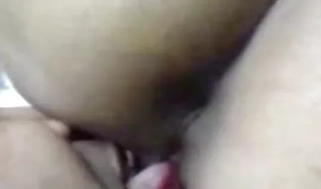 सुंदर हिंदी सेक्सी पिक्चर मूवी श्यामला उसे बिल्ली छूत