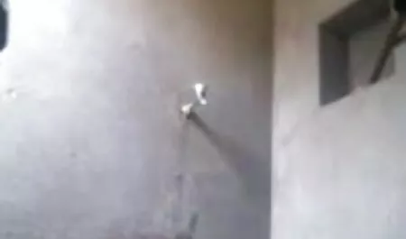 मिया हिल्टन सीढ़ियों पर गड़बड़ हिंदी सेक्सी मूवी पिक्चर