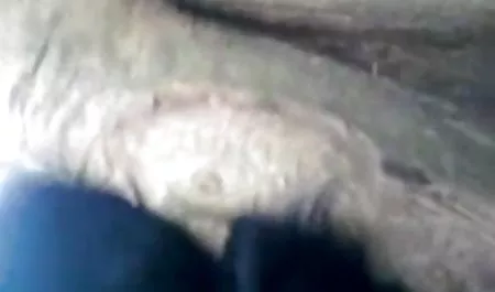 गोरा एलेक्सिस फोर्ड सेक्स सेक्सी हिंदी मूवी के साथ भावुक सेक्स