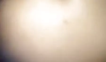 श्यामला स्ट्रिप्स, एक सदस्य लेती है और उन्हें खुद में दबाती हिंदी मूवी पिक्चर सेक्सी है