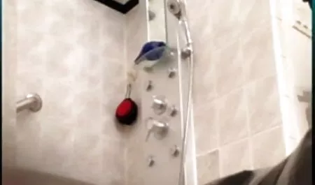 प्रेमी हिंदी में फुल सेक्स मूवी लड़कियों को