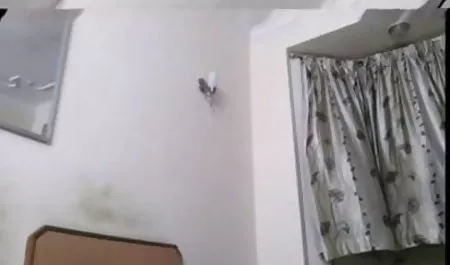 घुंघराले गोरा और सेक्सी मूवी हिंदी फिल्म आबनूस