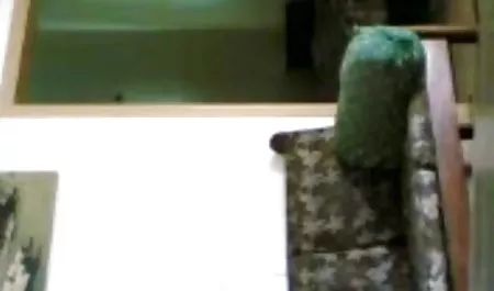 दो उत्कीर्ण समुद्री लुटेरों सेक्स हिंदी फुल मूवी का शानदार यौन कौशल