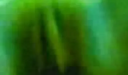 नग्न महिला Ashlynn ब्रुक वीडियो हिंदी मूवी सेक्सी