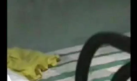 लड़कियों को चोदना और सेक्स खिलौने सेक्सी वीडियो हिंदी मूवी में लिप्त होना