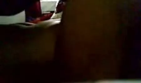 माकी सेक्सी मूवी हिंदी फिल्म होजो ने कार्यालय में उसकी बिल्ली के साथ खेला