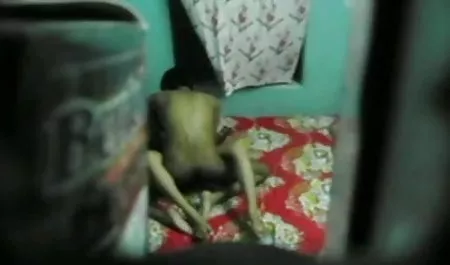 सबसे अच्छा मौखिक मुद्रा हिंदी पिक्चर सेक्सी मूवी लेता है!