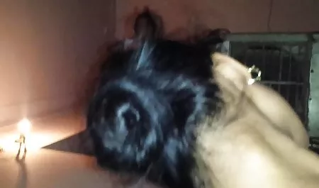 सेक्स साथी यात्री हिंदी में सेक्सी फुल मूवी