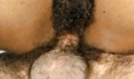 श्यामला एक भावपूर्ण और नरम हिंदी सेक्सी वीडियो मूवी गधा है