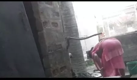 निप्पल छेदने के साथ सेक्सी पिक्चर मूवी फुल एचडी यास्मीन डी ल्यों