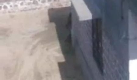 बड़ी सेक्सी मूवी मूवी हिंदी में स्नातक पार्टी