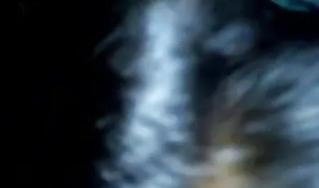 एक भोजपुरी सेक्सी हिंदी मूवी काले आदमी को समर्पण!