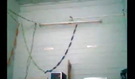 दो हिंदी मूवी सेक्सी कोड़े और गुदा सुख