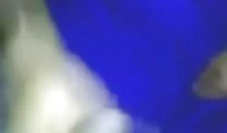 लाल सोफे पर एक हिंदी सेक्सी वीडियो फुल मूवी लड़की के साथ गुदा