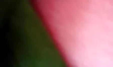 गाइ अपने छोटे से सेक्रेटी सेक्सी हिंदी वीडियो फुल मूवी के शराबी से प्यार करती है