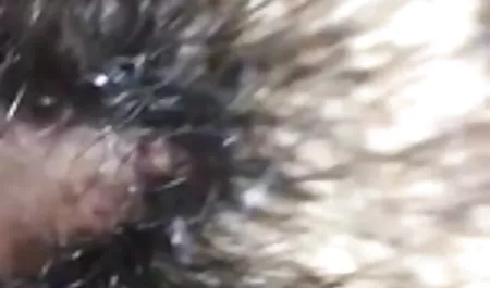 आलिया लव ताजा शुक्राणु निगलता सेक्सी मूवी हिंदी मै है