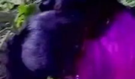 बॉस भी हिन्दी सेक्सी मूवी एक समलैंगिक है