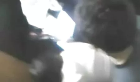 सोफी लिंक्स कैमरे पर बेहोश हिंदी फिल्म सेक्सी एचडी में