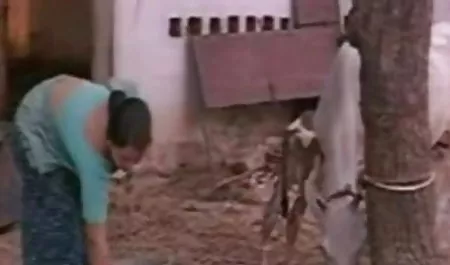 बूब्स हिंदी वीडियो सेक्सी मूवी वाली लड़की