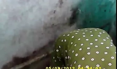 परिपक्व हिंदी सेक्सी मूवी वीडियो एमआईएलए में डिक