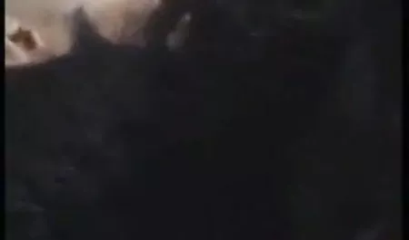 मुस्कुराते हुए गोरा को जीभ से एक डिक मिलता है न्यू हिंदी सेक्सी मूवी