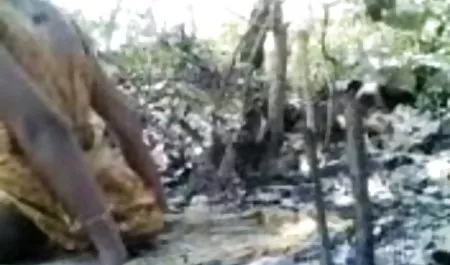 एक सेक्सी मूवी हिंदी माई सदस्य के लिए दो मुंडा बिल्ली