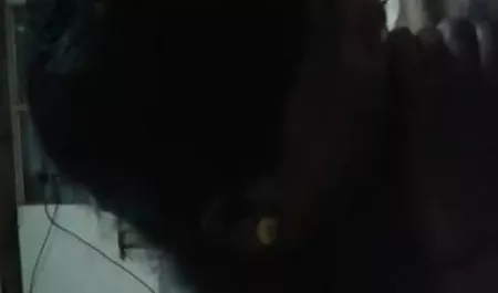 श्रीमती लेनन अपने पति के सामने सेक्सी वीडियो मूवी पिक्चर गड़बड़ हो जाती है