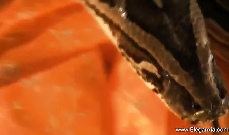 डॉक्टर सेक्स करते हुए हिंदी मूवी के पास कामुक यात्रा किट्टी जेन