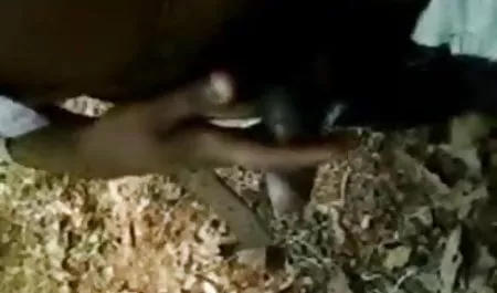 लड़की ने हिंदी सेक्सी एचडी मूवी वीडियो अपनी योनि से झगड़ा किया है