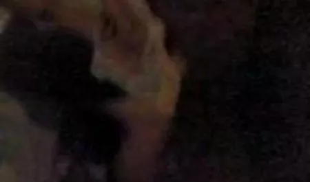 ऑरोरा स्नो एक सार्वजनिक शौचालय में सेक्सी मूवी हिंदी वीडियो बेकार है