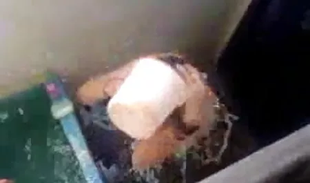 छोटा एक नए प्रशंसक की गोद में नाच सेक्सी वीडियो हिंदी एचडी मूवी रहा है