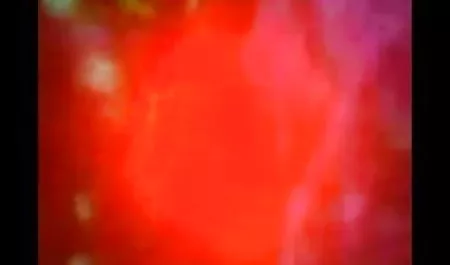 शर्मीला फुल सेक्सी मूवी हिंदी में प्रलोभन